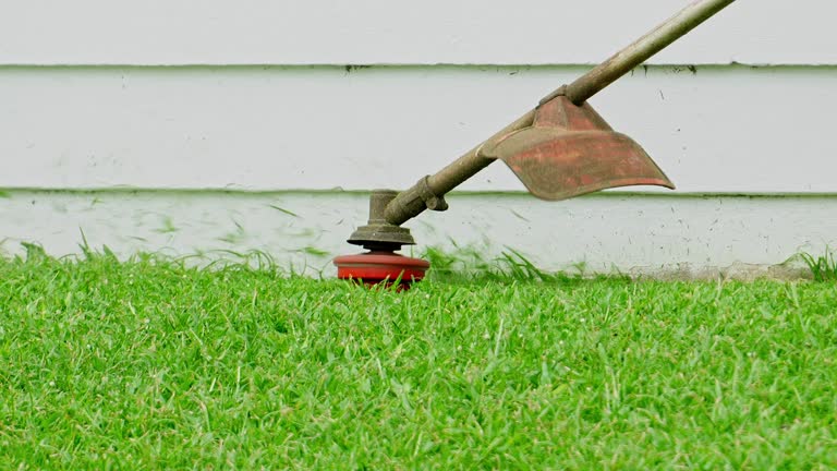 Best Lawn Renovation and Restoration  in Orange City, IA